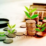 Investment as a Discipline: Cultivating Wealth with Patience, Purpose, and Precision