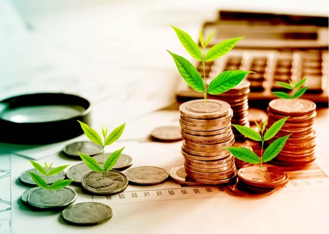 Investment as a Discipline: Cultivating Wealth with Patience, Purpose, and Precision