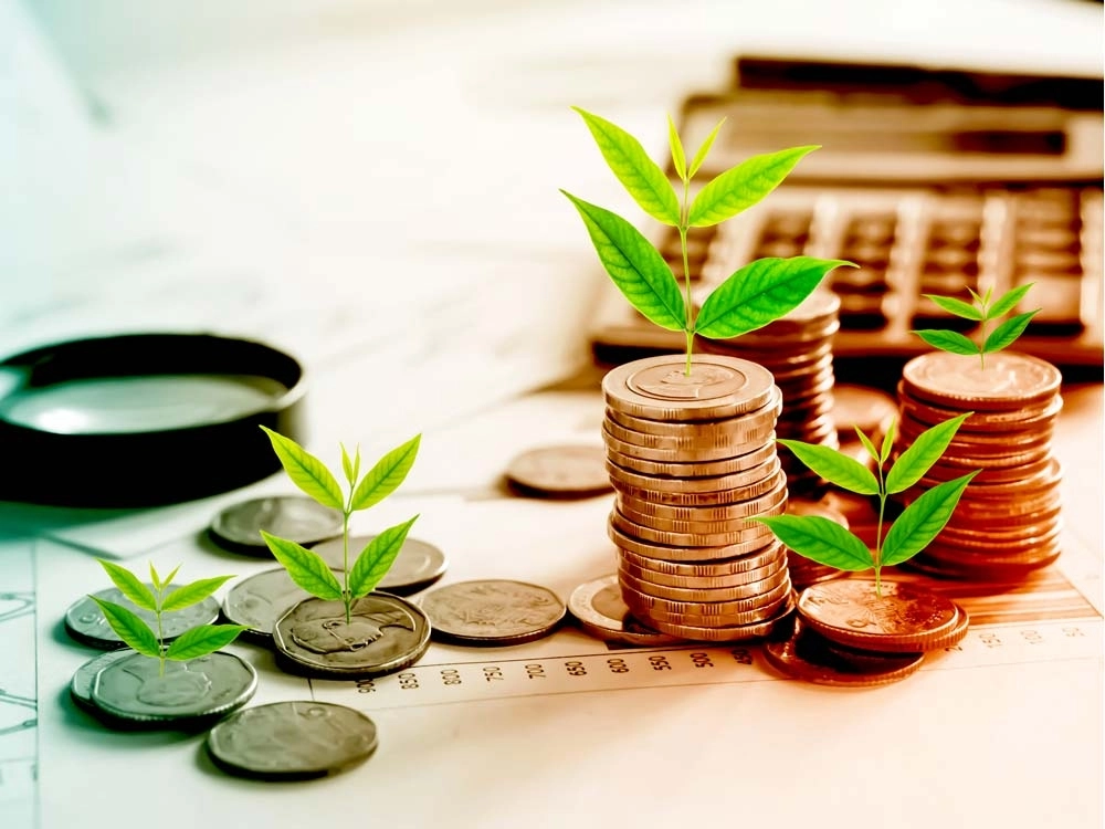Investment as a Discipline: Cultivating Wealth with Patience, Purpose, and Precision
