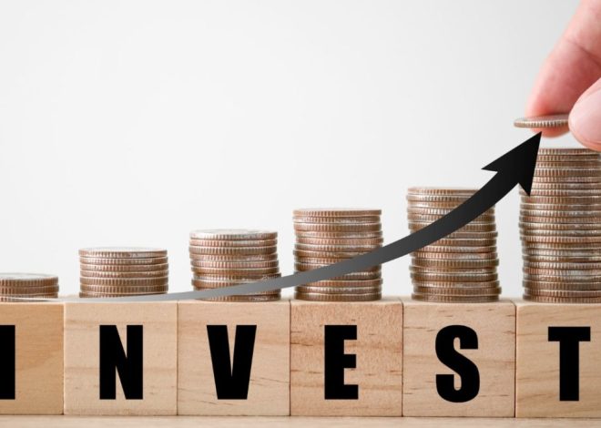 Investment: Cultivating Wealth with Wisdom and Patience in an Ever-Changing World