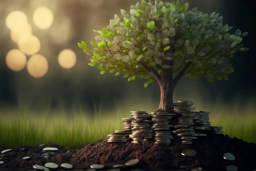 Navigating the Landscape of Investment: A Modern Guide to Building Wealth with Purpose